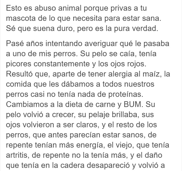 Las fotos de un labrador de dueña vegana, ‘entusiasmado’ por recibir una cena también vegana, son arruinadas por un veterinario
