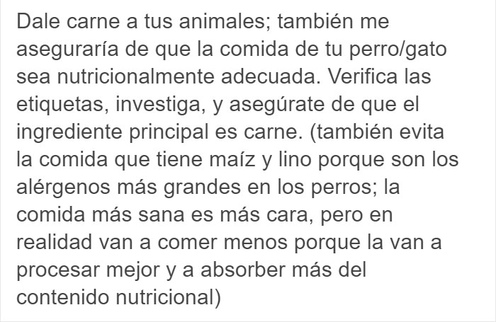 Las fotos de un labrador de dueña vegana, ‘entusiasmado’ por recibir una cena también vegana, son arruinadas por un veterinario