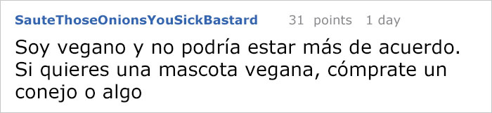Las fotos de un labrador de dueña vegana, ‘entusiasmado’ por recibir una cena también vegana, son arruinadas por un veterinario