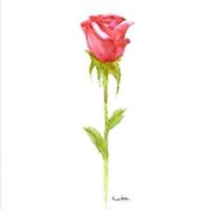 alejandra_172011 avatar