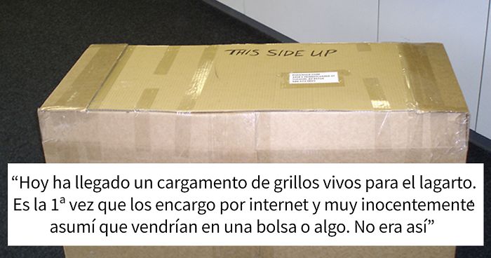 Este hombre liberó accidentalmente 250 grillos en su casa, y la gente llora de la risa