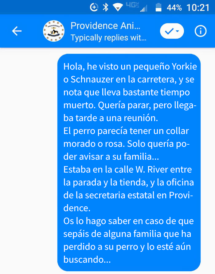 Llaman a la policía para avisar sobre un perro muerto, y se mueren de risa al comprobarlo