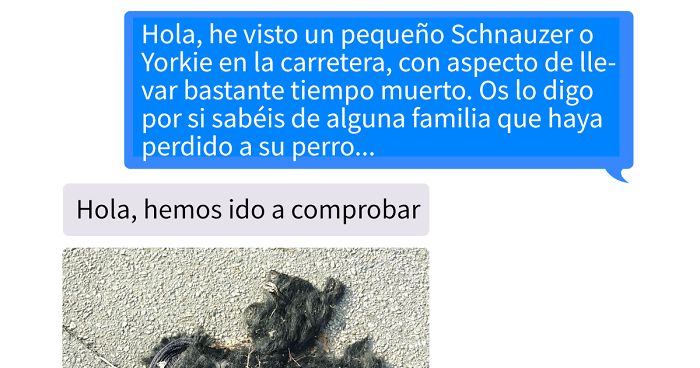 Llaman a la policía para avisar sobre un perro muerto, y se mueren de risa al comprobarlo