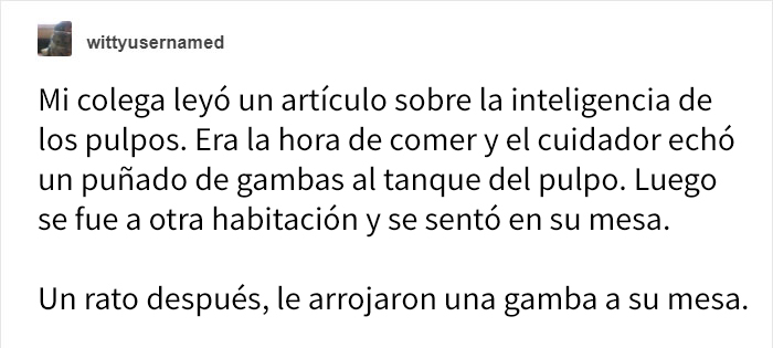 Comparten historias increíbles sobre lo que hacen los pulpos, y no volverás a subestimar su inteligencia