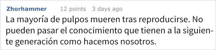 Comparten historias increíbles sobre lo que hacen los pulpos, y no volverás a subestimar su inteligencia
