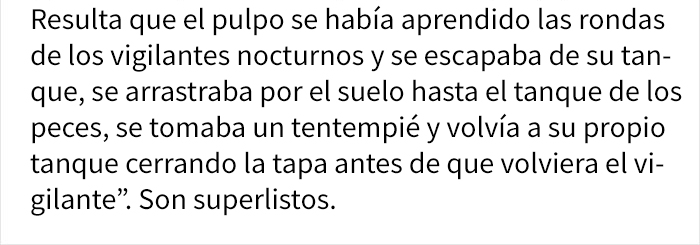 Comparten historias increíbles sobre lo que hacen los pulpos, y no volverás a subestimar su inteligencia