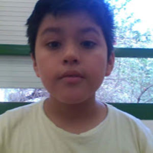 mattiasbraidyfloresolivera avatar