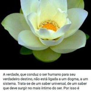 jupiterhermoso avatar