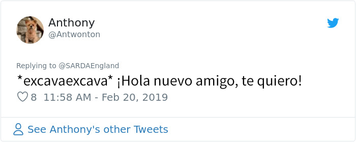 Este hombre enterrado en la nieve grabó al perro de rescate que lo salvó, y es precioso