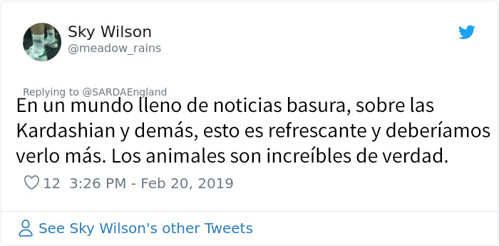 Este hombre enterrado en la nieve grabó al perro de rescate que lo salvó, y es precioso
