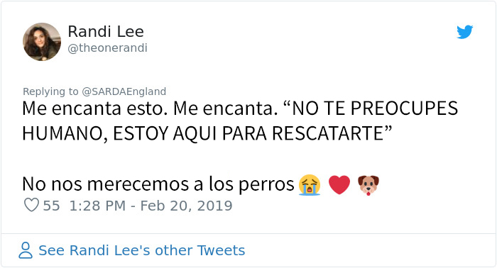 Este hombre enterrado en la nieve grabó al perro de rescate que lo salvó, y es precioso