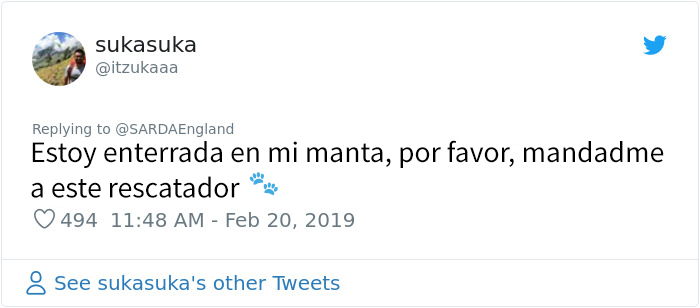 Este hombre enterrado en la nieve grabó al perro de rescate que lo salvó, y es precioso