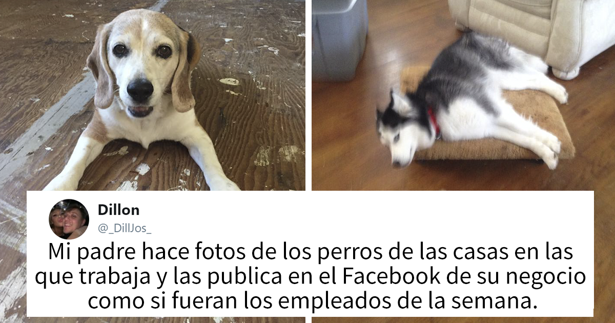 30 adorables «Empleados de la semana» que este contratista conoció en las casas de sus clientes