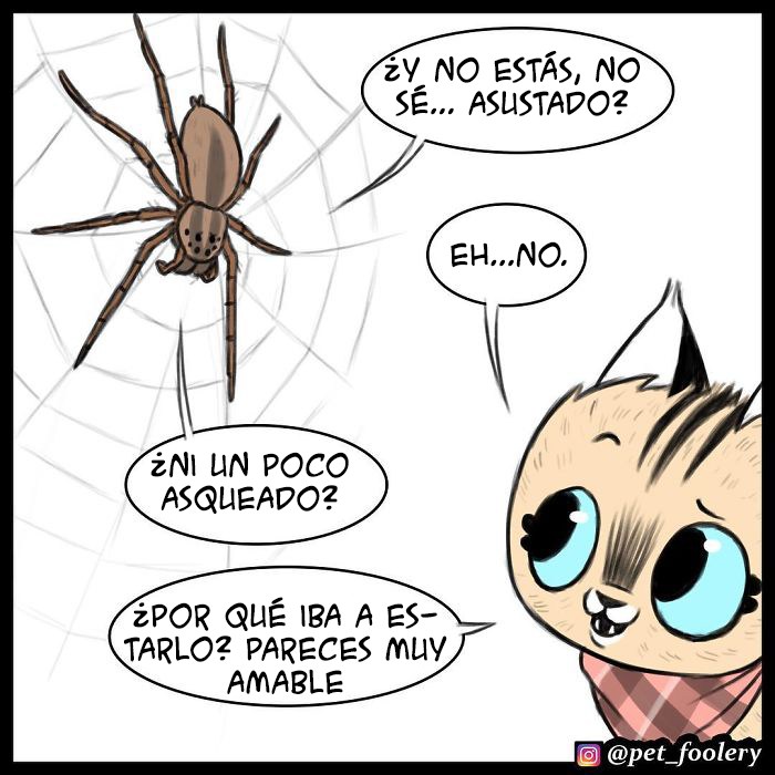 Los cómics de Pixie y Brutus ya tienen 1,4 millones de seguidores, estas son sus 6 nuevas tiras