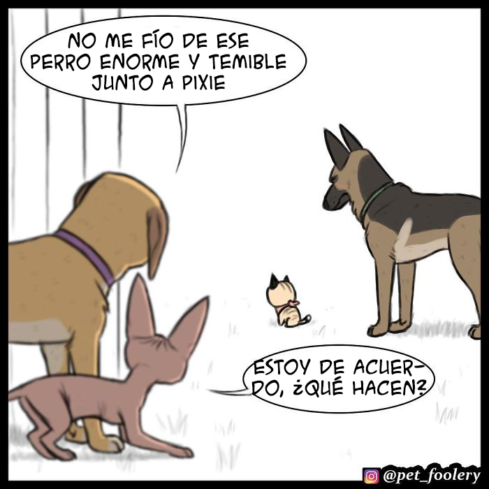 Los cómics de Pixie y Brutus ya tienen 1,4 millones de seguidores, estas son sus 6 nuevas tiras
