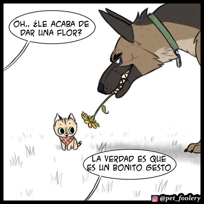 Los cómics de Pixie y Brutus ya tienen 1,4 millones de seguidores, estas son sus 6 nuevas tiras