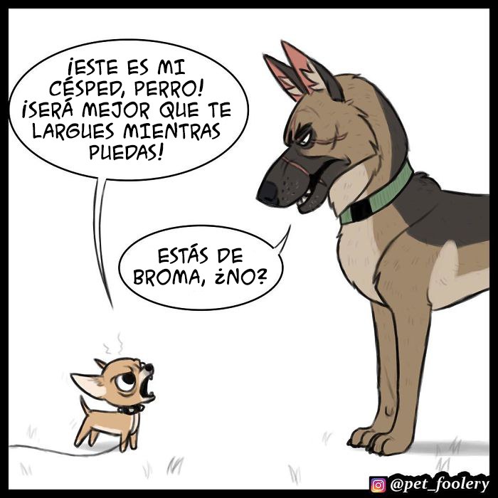 Los cómics de Pixie y Brutus ya tienen 1,4 millones de seguidores, estas son sus 6 nuevas tiras