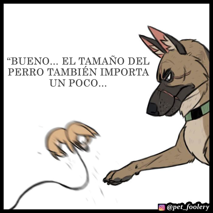Los cómics de Pixie y Brutus ya tienen 1,4 millones de seguidores, estas son sus 6 nuevas tiras