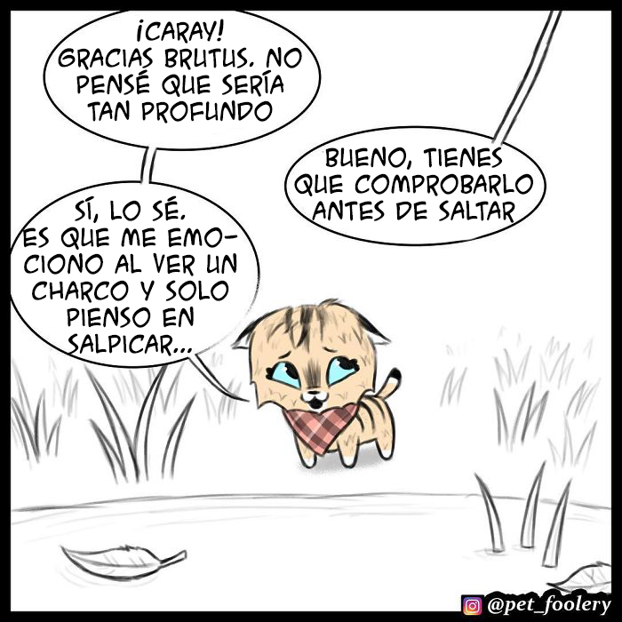 Los cómics de Pixie y Brutus ya tienen 1,4 millones de seguidores, estas son sus 6 nuevas tiras