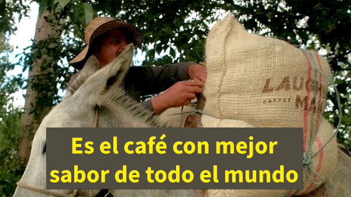 La gente no para de reír con el anuncio que ha hecho Hugh Jackman para la marca de ginebra de Ryan Reynolds