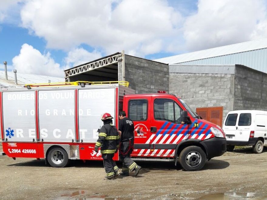 Rescate De Perro Atrapado En Una Fábrica