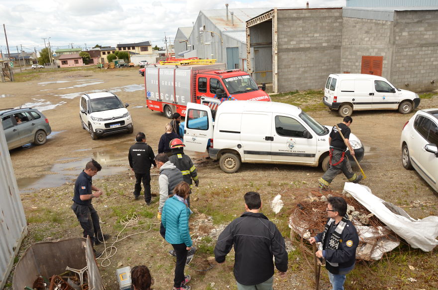 Rescate De Perro Atrapado En Una Fábrica