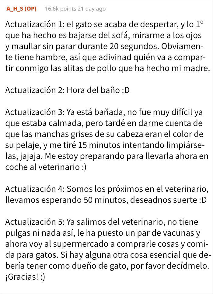 Este hombre se despertó de la siesta con un gatito callejero durmiendo sobre su estómago, y decide quedárselo