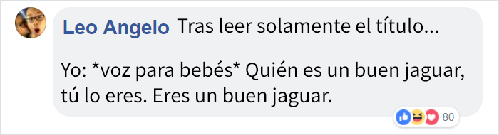 Este zoo confirma que el jaguar que atacó a una mujer que intentaba hacerse un selfie con él no será sacrificado