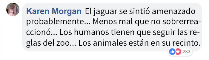 Este zoo confirma que el jaguar que atacó a una mujer que intentaba hacerse un selfie con él no será sacrificado