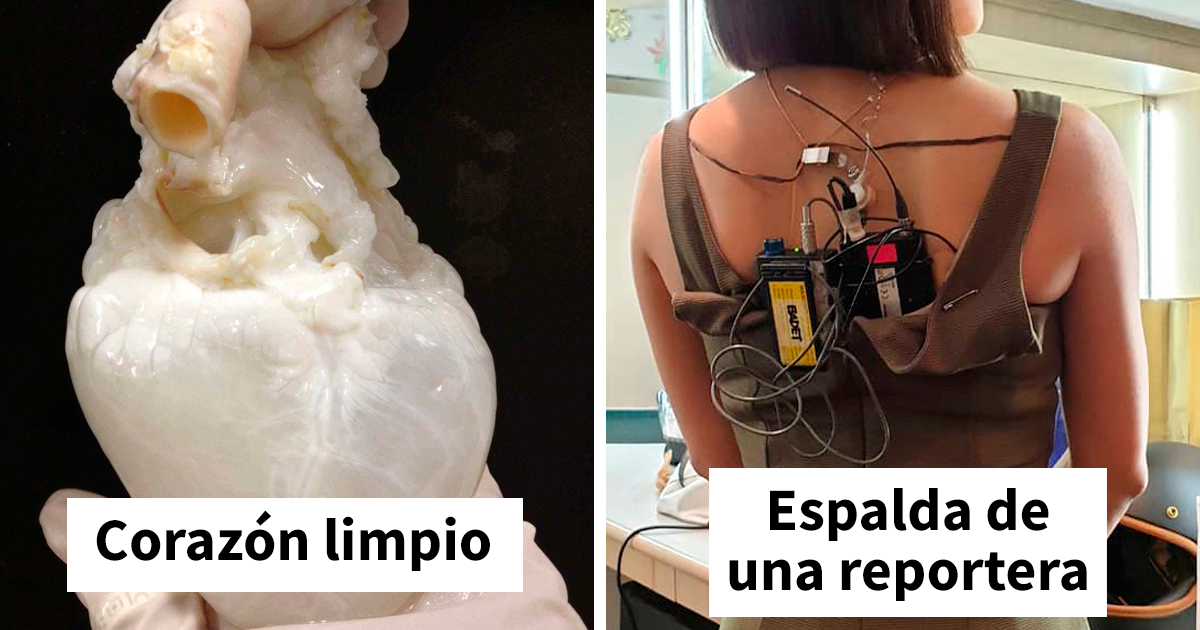 30 Raras fotos que revelan el lado que no se ve de las cosas (nuevas imágenes)