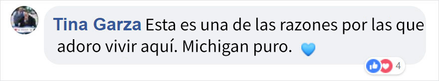 La superficie del lago Michigan se rompe en millones de trozos de hielo y el resultado es surrealista