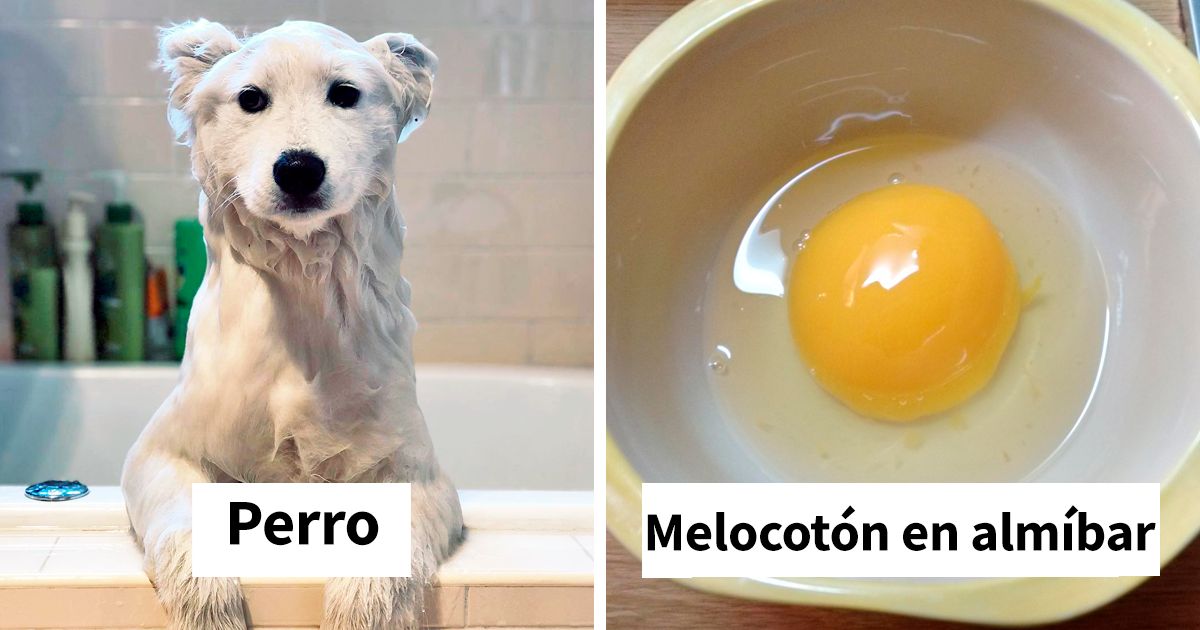 40 Cosas que parecen otras