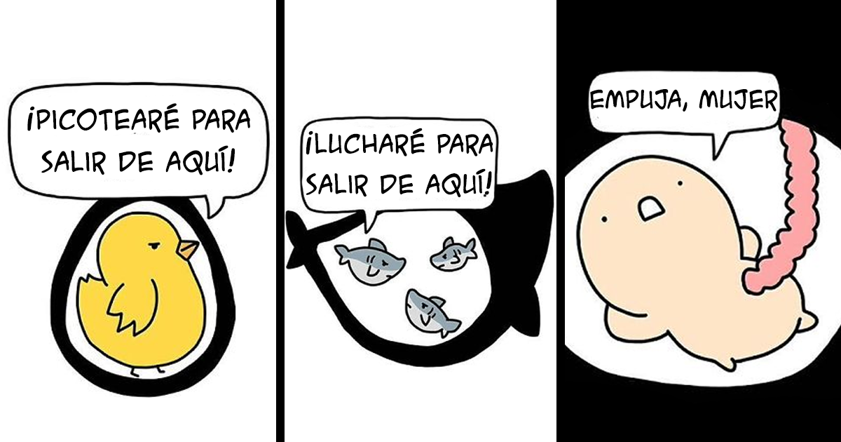 15 Cómics «Cuadrados» Que Disfrutará La Gente Con Un Oscuro Sentido Del Humor