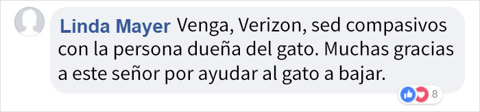 Verizon expulsa temporalmente a un trabajador que usó su equipo de trabajo para rescatar a un gato