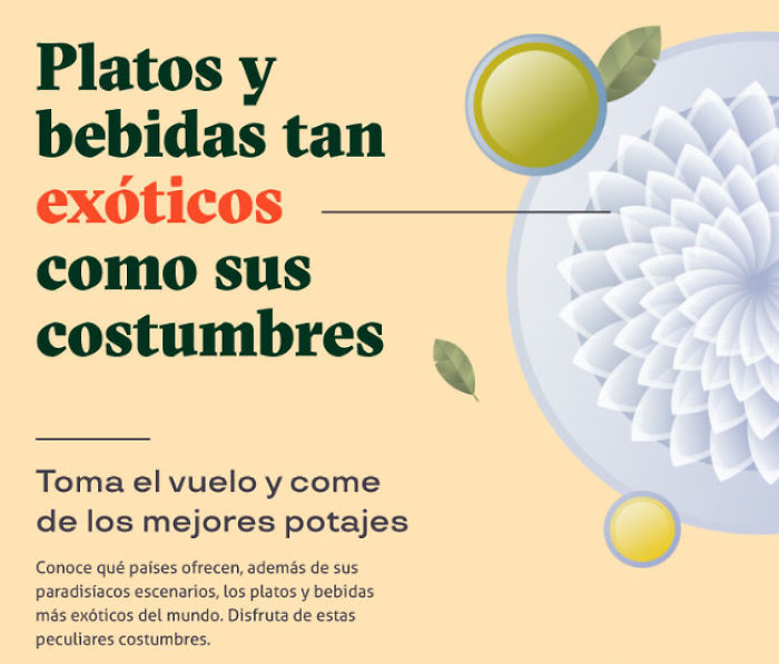 Conoce Cuáles Son Los Platos Y Bebidas Más Exóticos En El Mundo