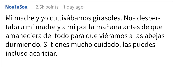 Resulta que hay abejas que duermen en las flores, y es adorable