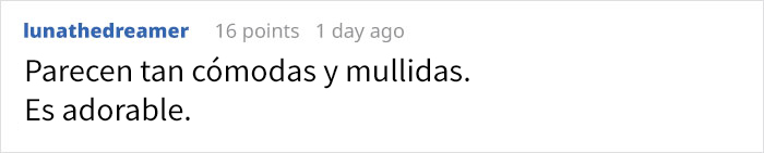 Resulta que hay abejas que duermen en las flores, y es adorable