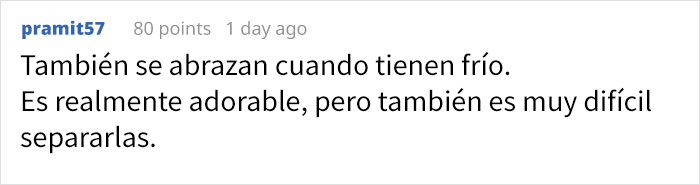 Resulta que hay abejas que duermen en las flores, y es adorable