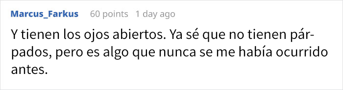 Resulta que hay abejas que duermen en las flores, y es adorable