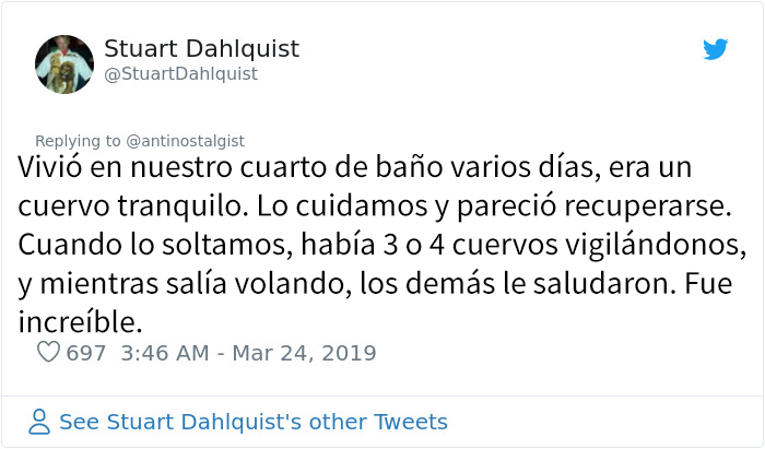 Este hombre de Seattle lleva años alimentando a una familia de cuervos y 