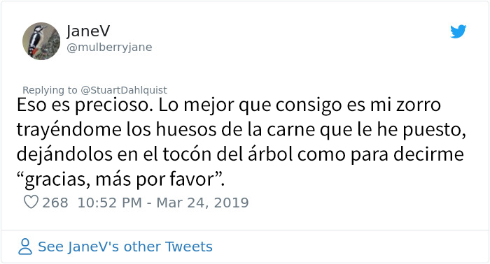 Este hombre de Seattle lleva años alimentando a una familia de cuervos y 
