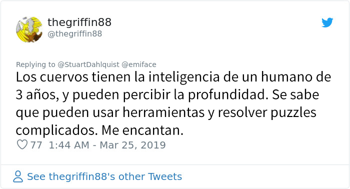 Este hombre de Seattle lleva años alimentando a una familia de cuervos y 