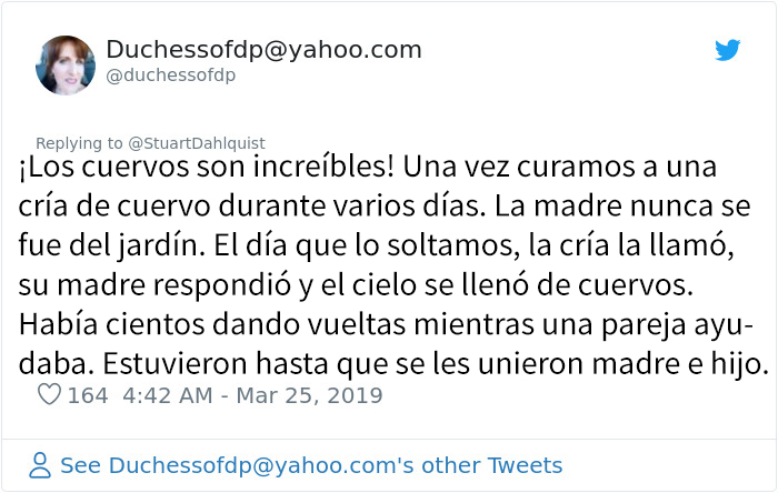 Este hombre de Seattle lleva años alimentando a una familia de cuervos y 