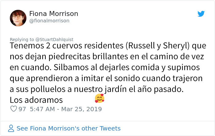 Este hombre de Seattle lleva años alimentando a una familia de cuervos y 