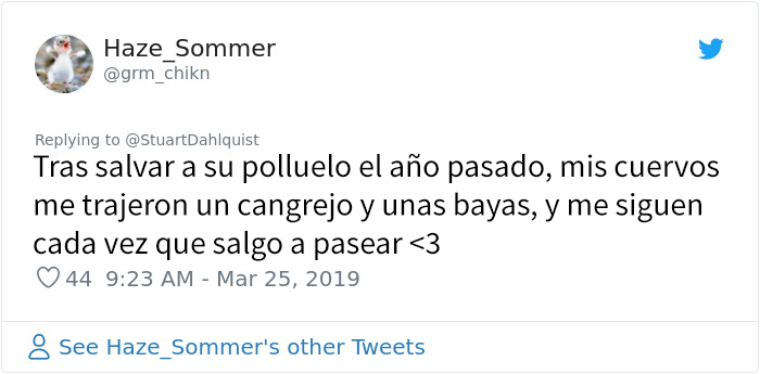Este hombre de Seattle lleva años alimentando a una familia de cuervos y 
