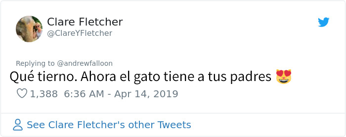 Este hombre recuperándose de una operación se despierta con un gato desconocido acurrucado encima suyo