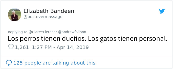 Este hombre recuperándose de una operación se despierta con un gato desconocido acurrucado encima suyo
