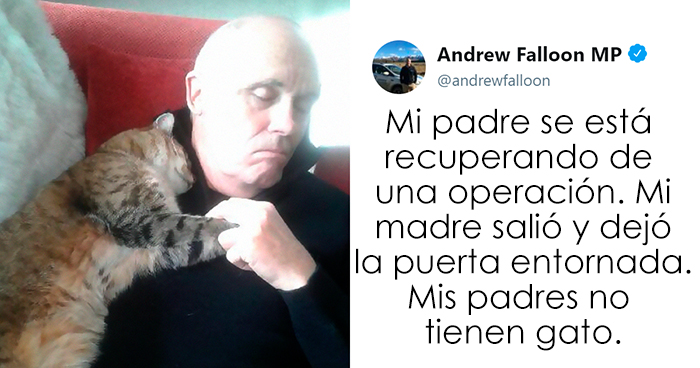 Este hombre recuperándose de una operación se despierta con un gato desconocido acurrucado encima suyo
