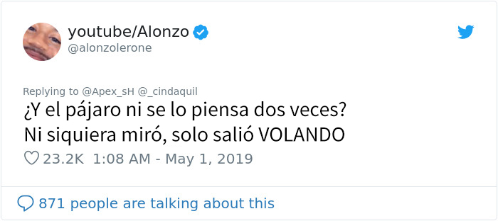Esta niña entrena a su pájaro para atacar a quien ella quiera, y parece una supervillana