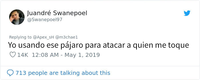 Esta niña entrena a su pájaro para atacar a quien ella quiera, y parece una supervillana
